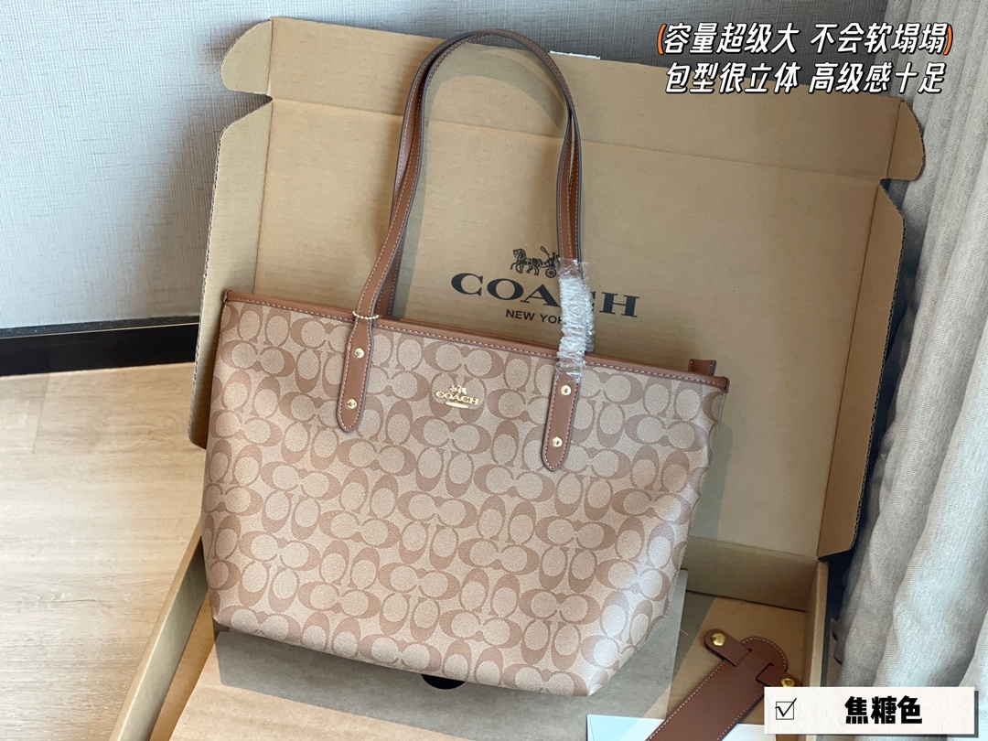 coach bag 257